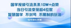 国学视频引流条条10W+点赞当日引流变现超4位数-林文副业站