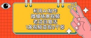利用AI制作微缩场景视频，老项目复活，1条视频变现2k-林文副业站