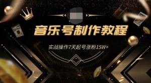 蓝深抖音超级干货-音乐号制作教程，实战操作7天起号涨粉15W+（全套课程）-林文副业站