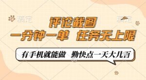 评论截图，0.5元一单，一分钟一单，有手机就能做，任务无上限，勤快点一天几张【揭秘】-林文副业站