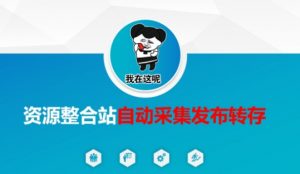 资源整合站自动采集发布转存，解放双手-林文副业站