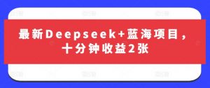 最新Deepseek+蓝海项目，十分钟收益2张-林文副业站