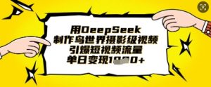 用DeepSeek制作鸟世界摄影级视频，引爆短视频流量，单日变现1k-林文副业站