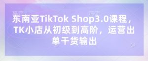 东南亚TikTok Shop3.0课程，TK小店​从初级到高阶，运营出单干货输出-林文副业站