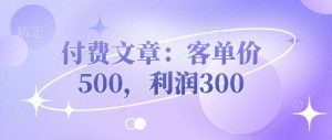 付费文章：客单价500，利润300-林文副业站