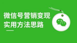 微信号营销变现实用方法思路，朋友圈刷屏裂变（共12节）价值199元-林文副业站