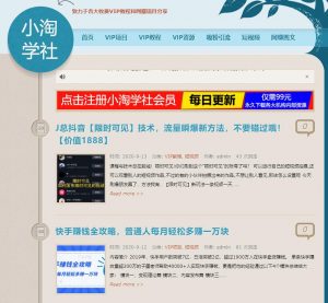 利用云盘精灵引流操作付费资源项目月入过万-林文副业站