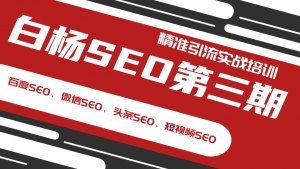白杨SEO第三期精准引流实战培训（百度SEO、微信SEO、头条SEO、短视频SEO）-林文副业站