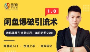 闲鱼爆品引流技术1.0，掌握引流新红利，单日进粉200+（价值1500元）-林文副业站
