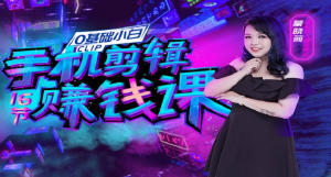 零基础手机剪辑赚钱课：不用电脑，用手机剪辑，也能轻松月入过万-林文副业站