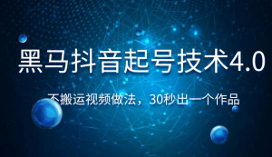 黑马抖音起号技术4.0，不搬运视频做法，30秒出一个作品只要有手机就能做 （附素材）-林文副业站