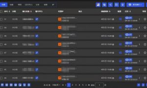 全网最新无人值守全平台自动发布矩阵rpa工具，日发1000条内容【揭秘】-林文副业站