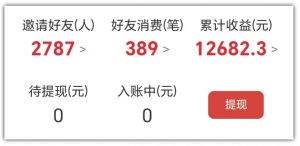 2025网盘拉新项目独家玩法，靠主项目支线做出全自动收益-林文副业站