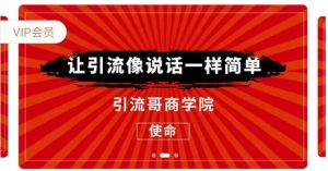 引流哥商学院8期：豆瓣、闲鱼、百度霸屏、微博引流转化的终极法门（价值798元）-林文副业站
