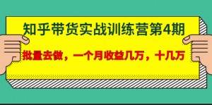 宅男·知乎带货实战训练营第4期：批量去做，一个月收益几万 十几万-林文副业站