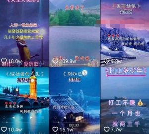 教你制作抖音热门视频，只需一部手机，十分钟教会你玩转短视频-林文副业站