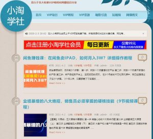 探究日IP300的资源站月收入，以及新手入门该如何做-林文副业站