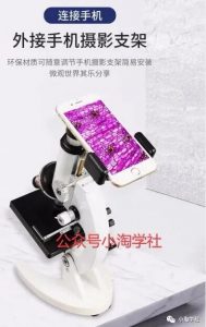 闲鱼搬运项目日入200+没问题-林文副业站