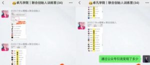 公众号霸屏SEO特训营第二期，普通人如何通过拦截单日涨粉1000人 快速赚钱-林文副业站