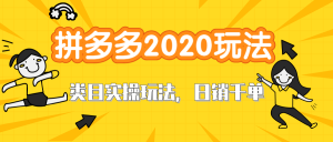 拼多多2020最新类目实操玩法，直通车定向玩法做爆款，轻松操作到日销千单-林文副业站
