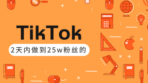 TikTok打造成权重高的热门优质账号，我是如何在12天内做到25w粉丝（视频+文档）-林文副业站