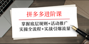 拼多多进阶课 掌握底层规则+活动推广+实操全流程+实战引爆流量-林文副业站