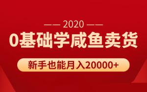 新手0基础学咸鱼卖货，也能轻松月入20000+【价值998元】-林文副业站