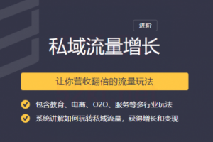 2020私域流量增长让你营收翻倍的流量课程-林文副业站