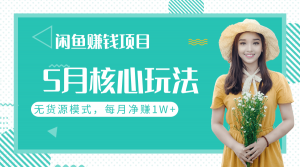 闲鱼赚钱项目核心玩法，无货源模式批量操作，每月净赚1W+（共2节视频）-林文副业站