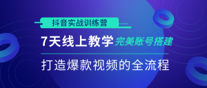 抖音实战训练营，7天线上教学完美账号搭建，打造爆款视频的全流程（完结）-林文副业站