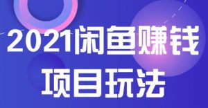 2021闲鱼赚钱项目新玩法，三大体系详细解析让你轻松日赚百元-林文副业站
