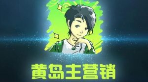 黄岛主引流课程：抖音SEO被动精准引流玩法大解析-林文副业站