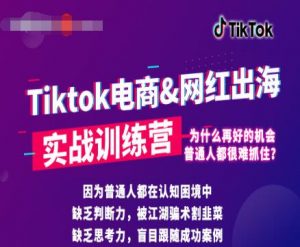 零基础学习抖音国际版TikTok海外短视频新手实战训练营【视频课】-林文副业站