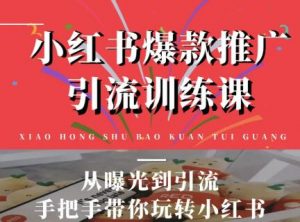 狼叔小红书爆款推广引流训练课，从曝光到引流手把手带你玩转小红书-林文副业站