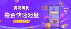 勇哥·小红书撸金快速起量陪跑孵化营，教你在小红书平台实现副业的睡后收入-林文副业站