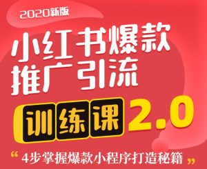 狼叔小红书爆款推广引流训练课2.0，4步掌握爆款小程序打造秘籍-林文副业站